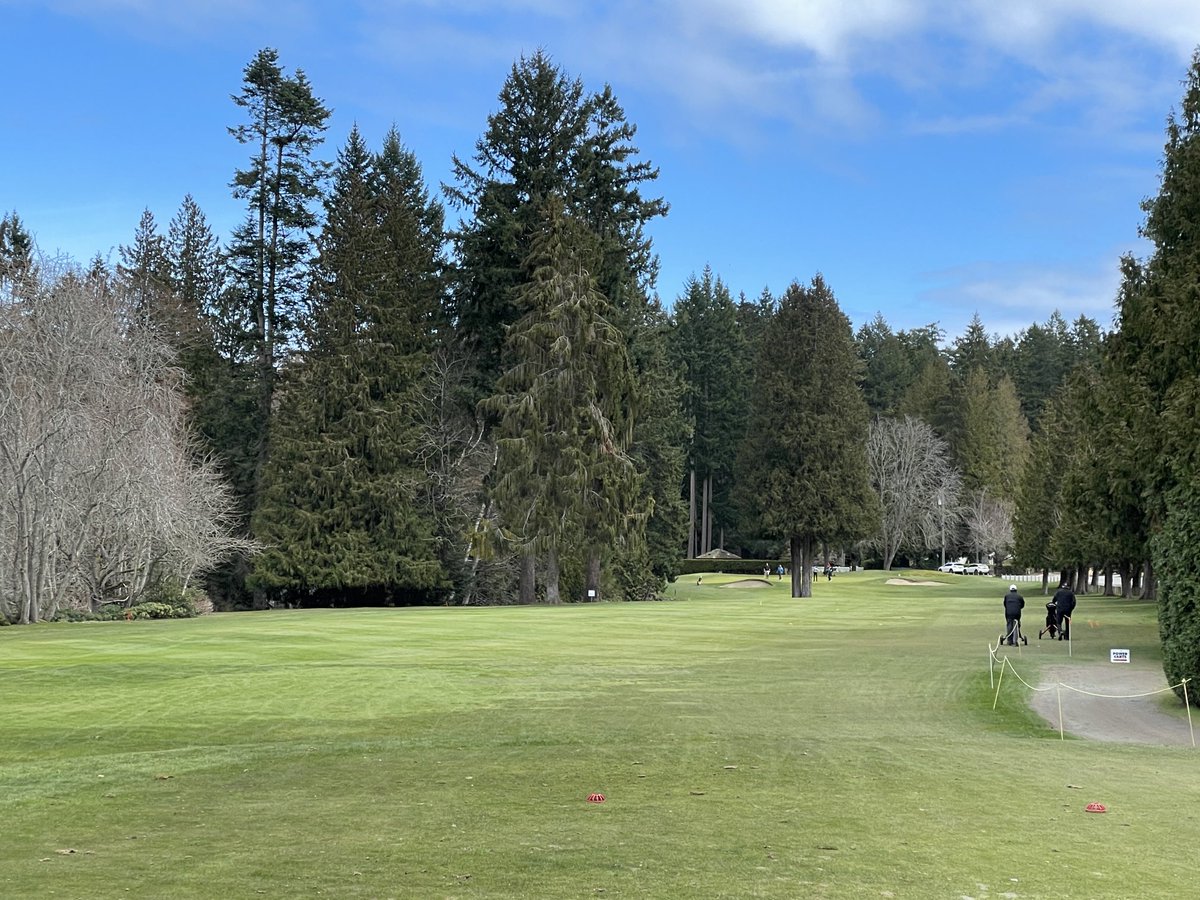 slimschadey tweet media