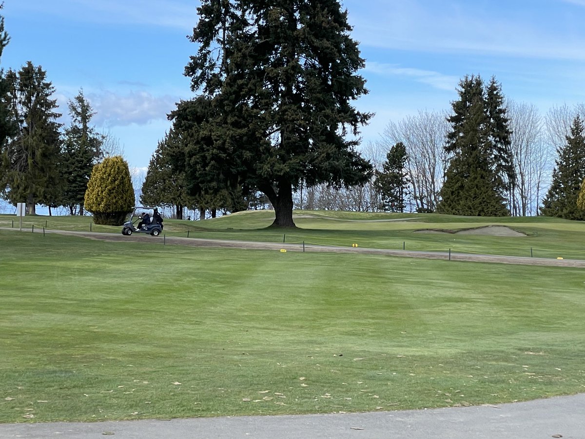 slimschadey tweet media