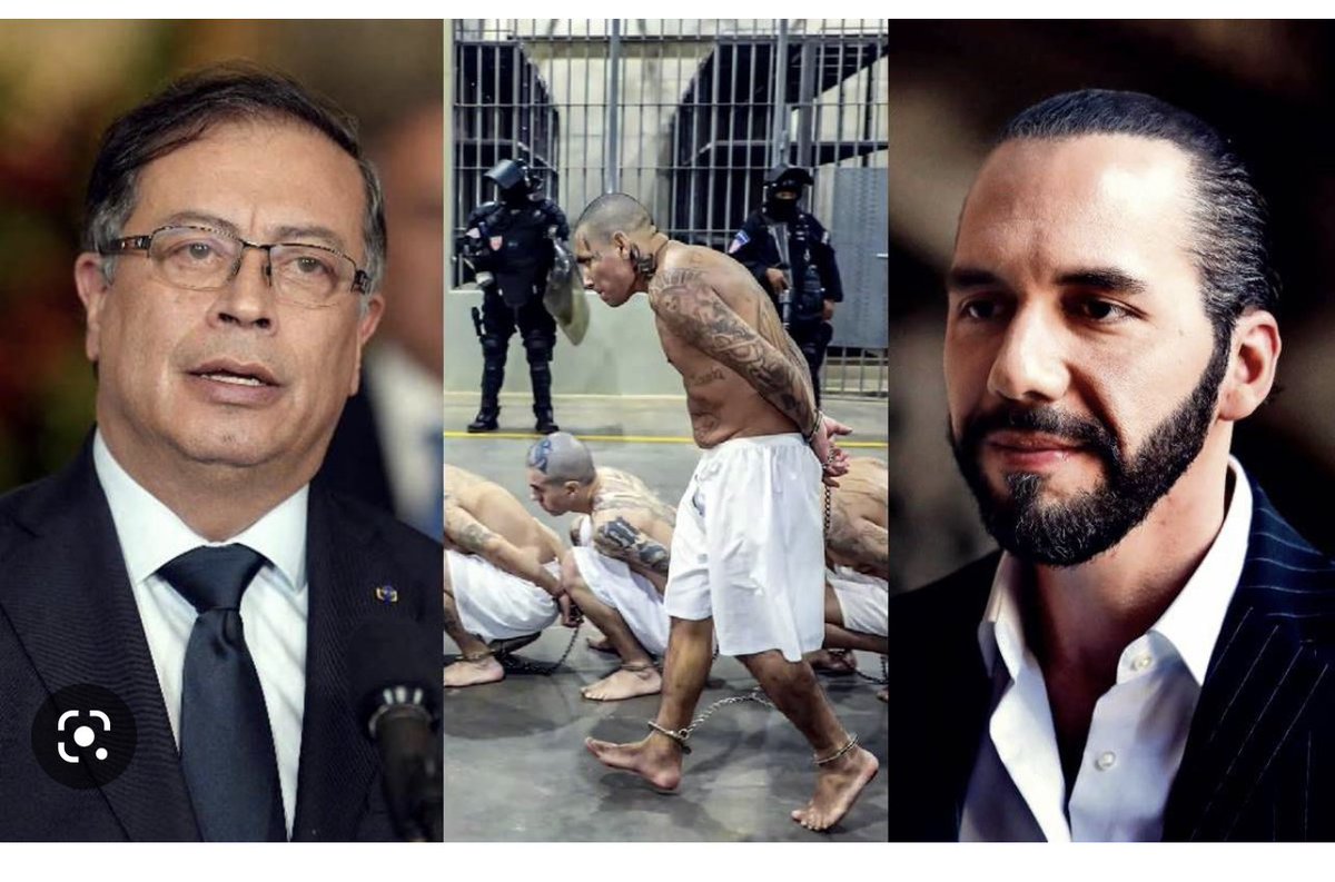 Jhonf Fonseca tweet media