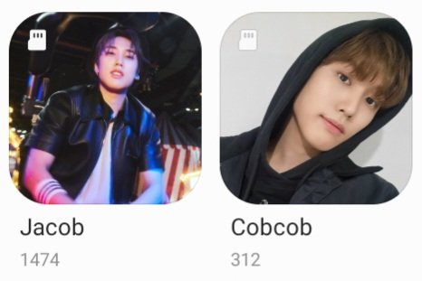 tinycobbie's tweet photo. Just so your all aware of how hard this thread was for me to make I have two jacob folders on my phone and this isnt even counting all the cob pictures stored on my laptop 😭😭 https://t.co/fQMs0GRf58