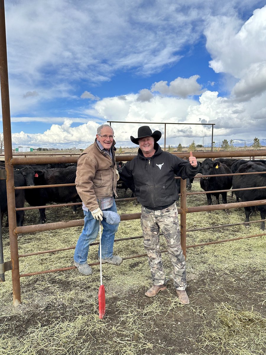 TommyAhlquist's tweet photo. Pretty darn good day on the ranch today! 🤠
#BooyahRanch #KingCash https://t.co/Q5Yht5tSm5