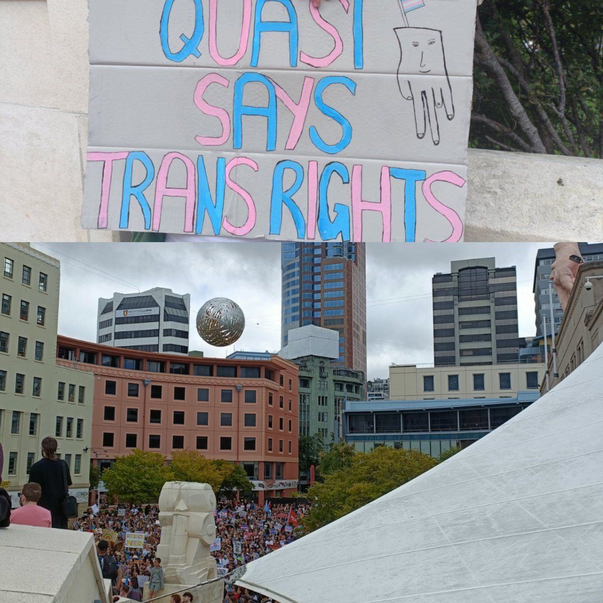 How many people? So many. Quasi says transrights. I agree. Te Whanganui-a-Tara.