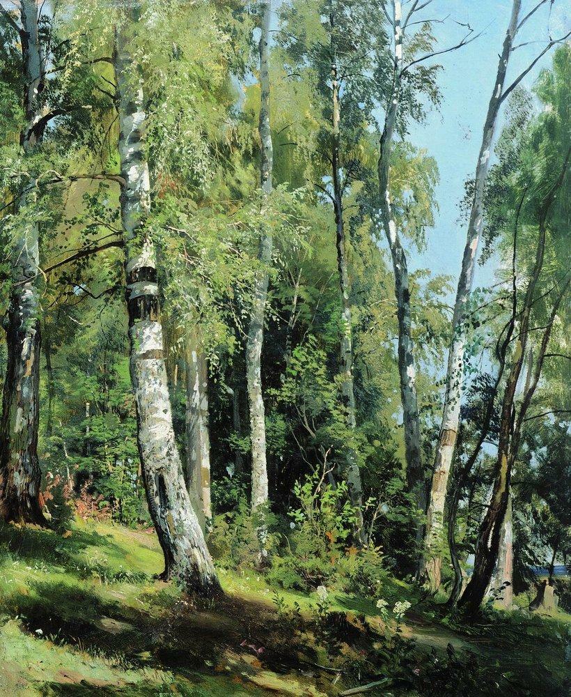 Birch Grove, 1896 #realism #ivanshishkin wikiart.org/en/ivan-shishk…