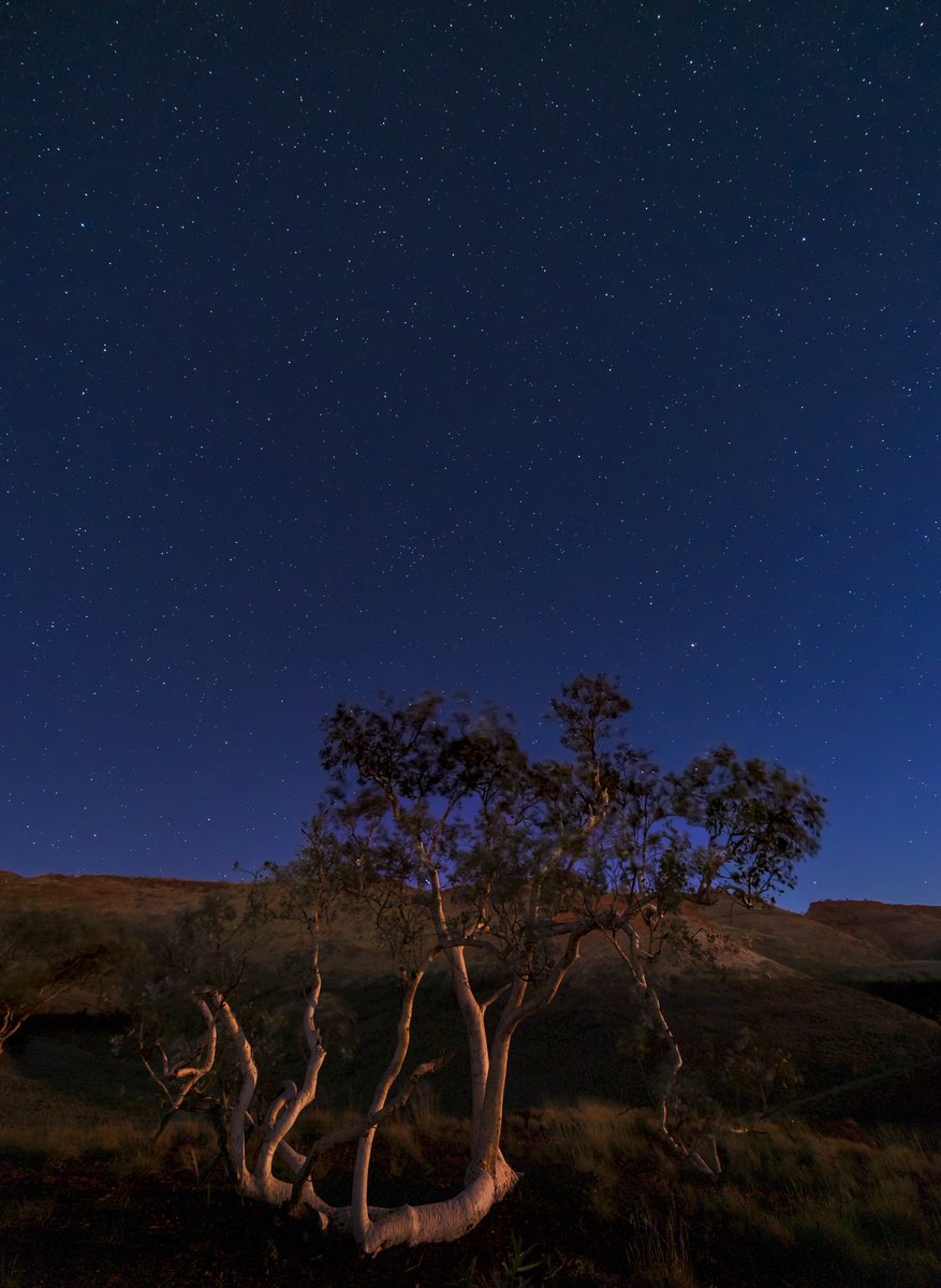 Nightscapes under the moonlight. 

#nightscapes #nightscapephotography #photography #landscapephotography #pilbara #desert #naturephotography #canonaustralia #3leggedthing #sandiskapac #nisifiltersanz #gothere #kuhl #shimodadesigns #raw_community #elitepix #naturegang