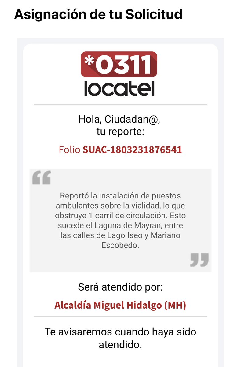 Eleonora RLL tweet media