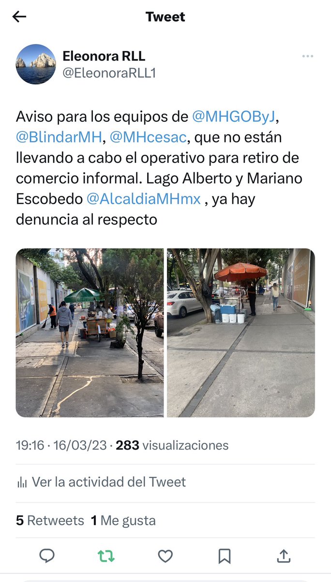 Eleonora RLL tweet media