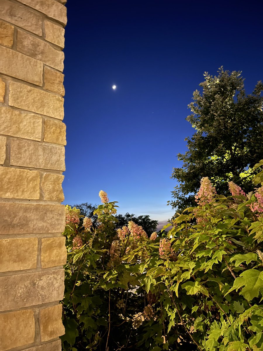 GreenTweetsEco's tweet photo. Lights outs 💡…#EarthHour 🌎 has officially begun here in #Tennessee! I can’t think of any better way to celebrate the #BiggestHourForEarth than to take #TimeOutForNature and look out at the beautiful moon 🌙 and night sky. 🌌 #Sustainability #ForNature #NashvilleTN https://t.co/aaKiu5Hl5w