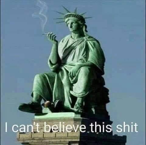JonesYorik's tweet photo. @mtgreenee Worse than Guantanamo? Has it been 22 years without trial already? And you spelled "rioters" and "insurrectionists" wrong. But education ain't your strong point, now, is it? #MTGTraitor #GOPOS https://t.co/Ob6YgI2EIo