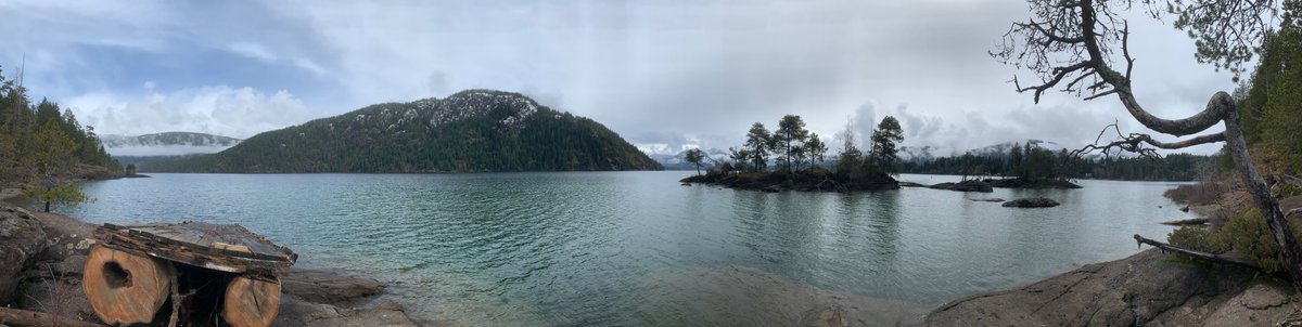 Pretty not bad day up in the cowichan lake area #explorebc #gordonbay #bcparks