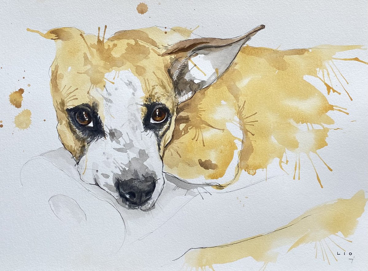 Lio

#dogart #dogoftwitter #dogportrait #RescueDog #handicappeddog #savingdogsouls

Please follow my 
Instagram @chellejung_draws