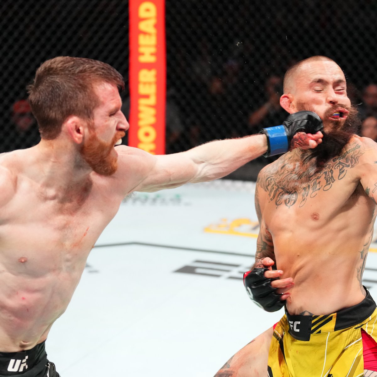 Talk about a complete performance for @CorySandhagen 🙌 #UFCSanAntonio