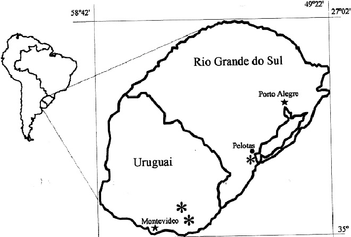 En 1864, en Uruguay, hubo una guerra civil entre blancos y colorados,en la cual intervino Brasil apoyando a los colorados.
Estos últimos ganaron y le dieron Río grande do Sul como pago x las deudas contraídas durante esta. Si no fuera por estos pelotudos Ronaldinho sería Uruguayo