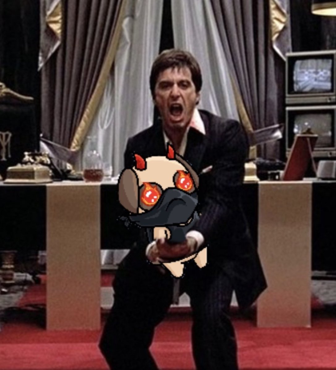 Rob Usta tweet media