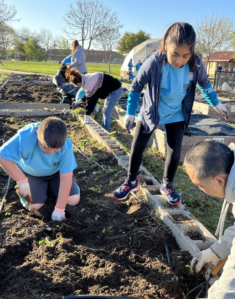 ZavalaCounselor's tweet photo. Members of our Kindness Crew came out today to participate in #GPBigEvent We rebuild garden beds; removed weeds and planted 👍🏾 Thank you to all the students; parents and volunteers 😎 We appreciate all of YOU!! @GPISDCounseling @dezavalaesa @Mrs_NVG https://t.co/nKVquCbK6v