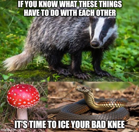 ThatGrumpyScotsman tweet media