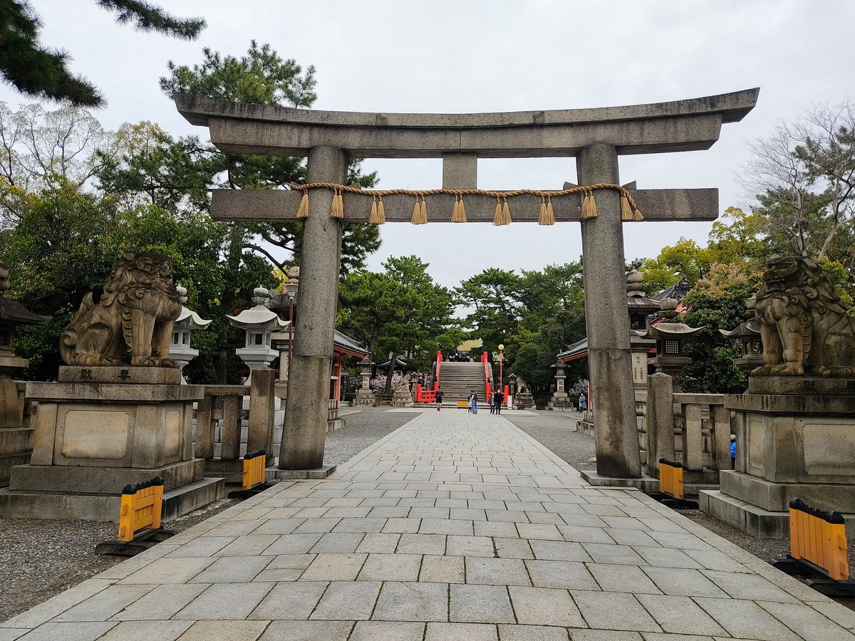 Bob_OGTB's tweet photo. Osaka's cherry blossoms are about 50% open &amp; supposed to reach peak bloom on March28🌸

These are the trees at Sumiyoshi Taisha yesterday⛩️ https://t.co/eAiPZpshtu