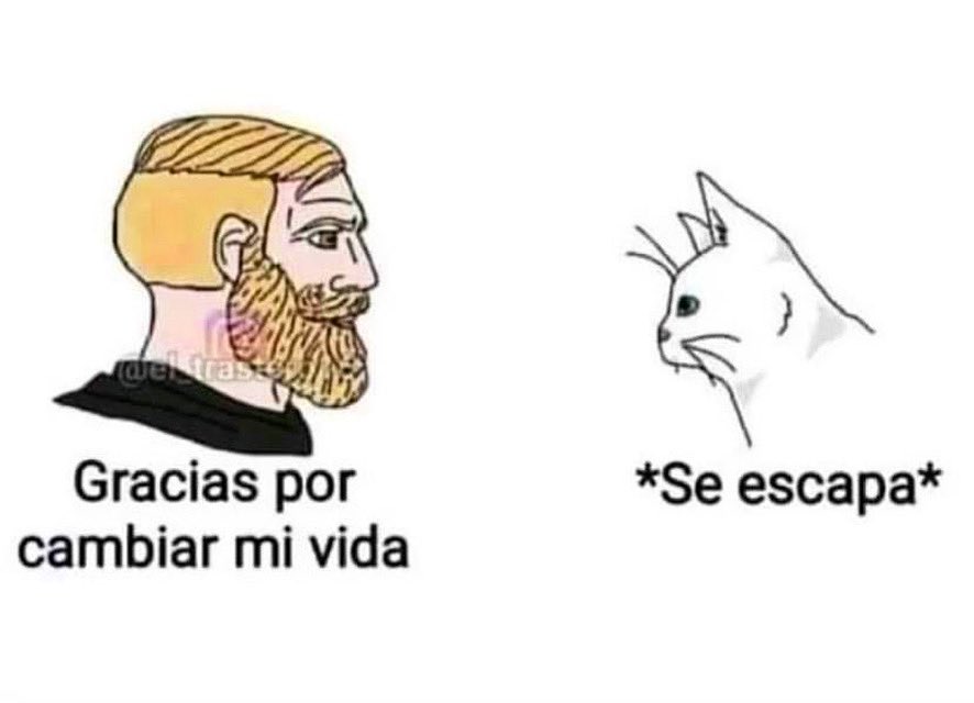SenoraCatolica's tweet photo. Obra del MALIGNO. https://t.co/pqW4j0Zn8C
