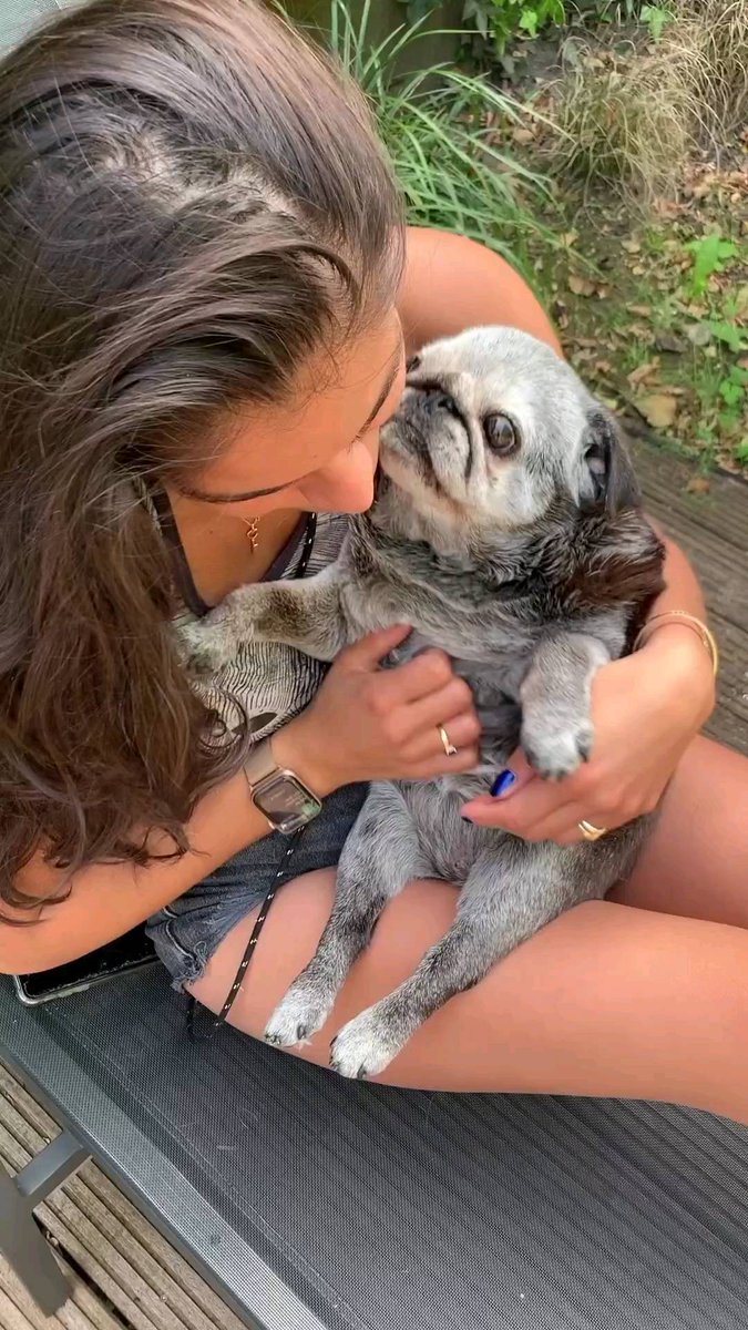 pugloverpublic's tweet photo. Sometimes the best cuddle friends have four paws, gray fur and the softest ears. 🐨🤍" https://t.co/FQ1K934Boo