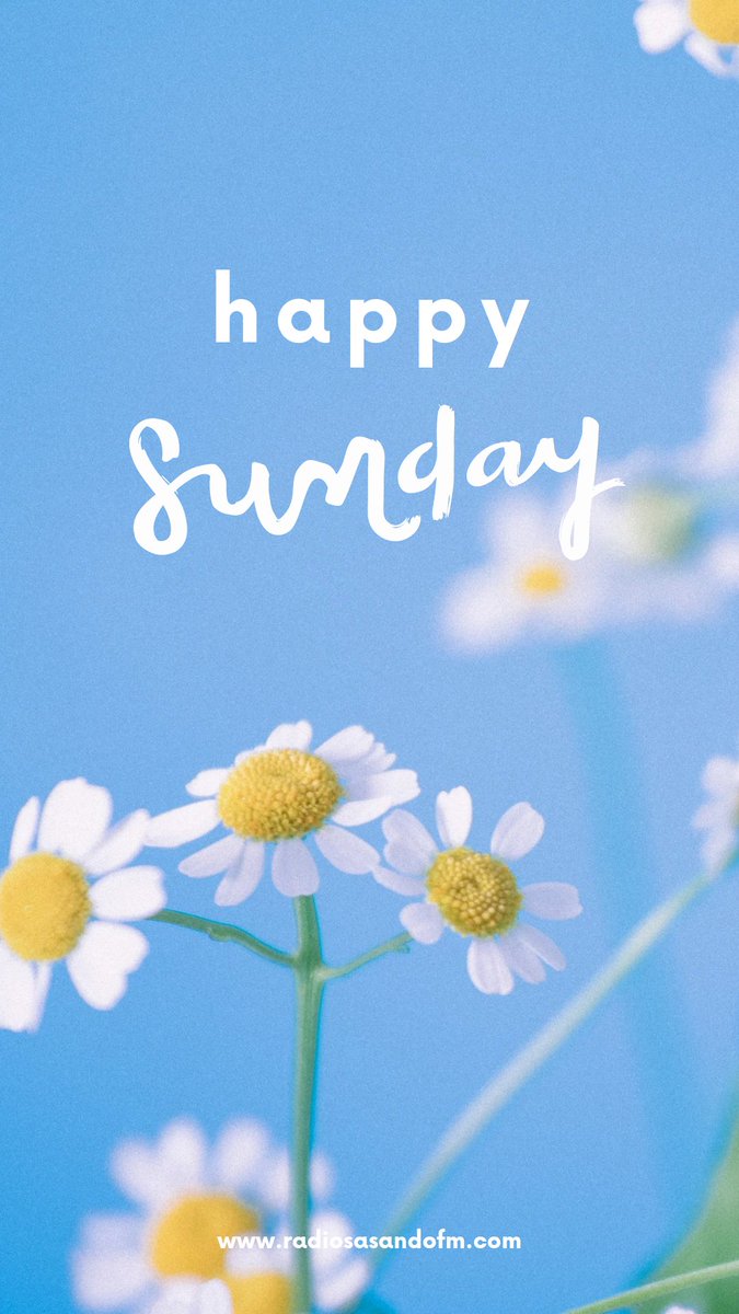 Radio Sasando FM (@sasando_fm) on Twitter photo 