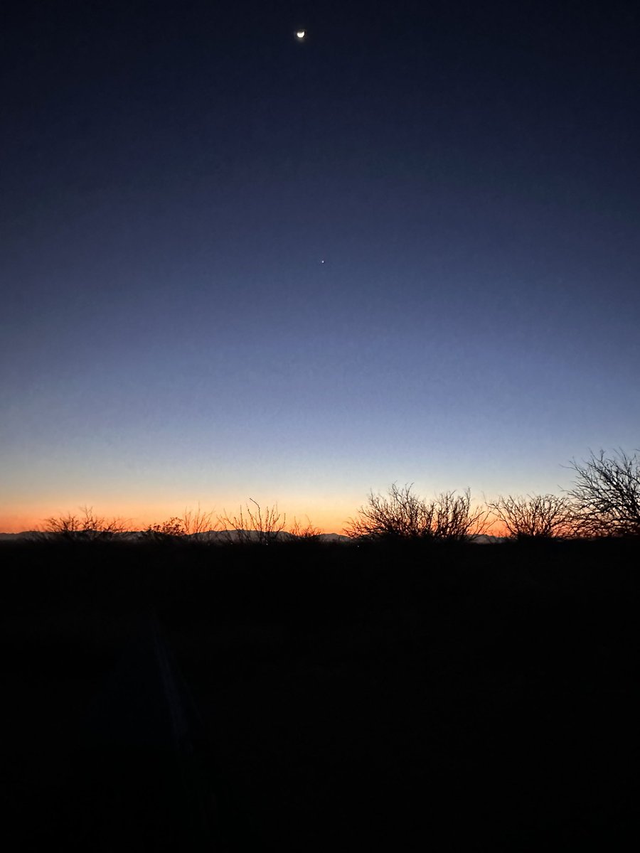 nmsteph's tweet photo. 5 planets are aligning with the moon tonight. And here I am soaking it all up. https://t.co/GfnRMn2iRX