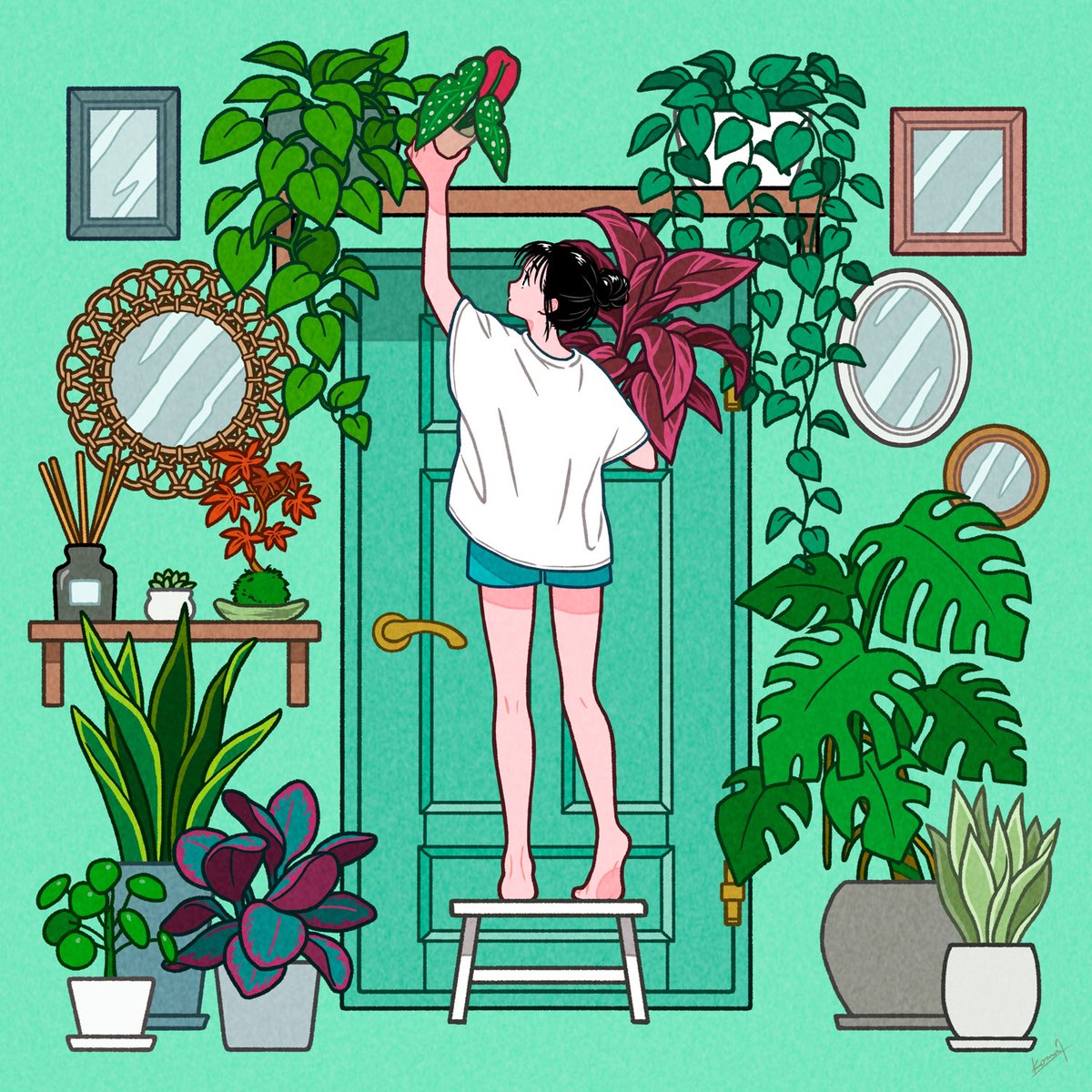 1girl plant solo white shirt shirt shorts potted plant  illustration images