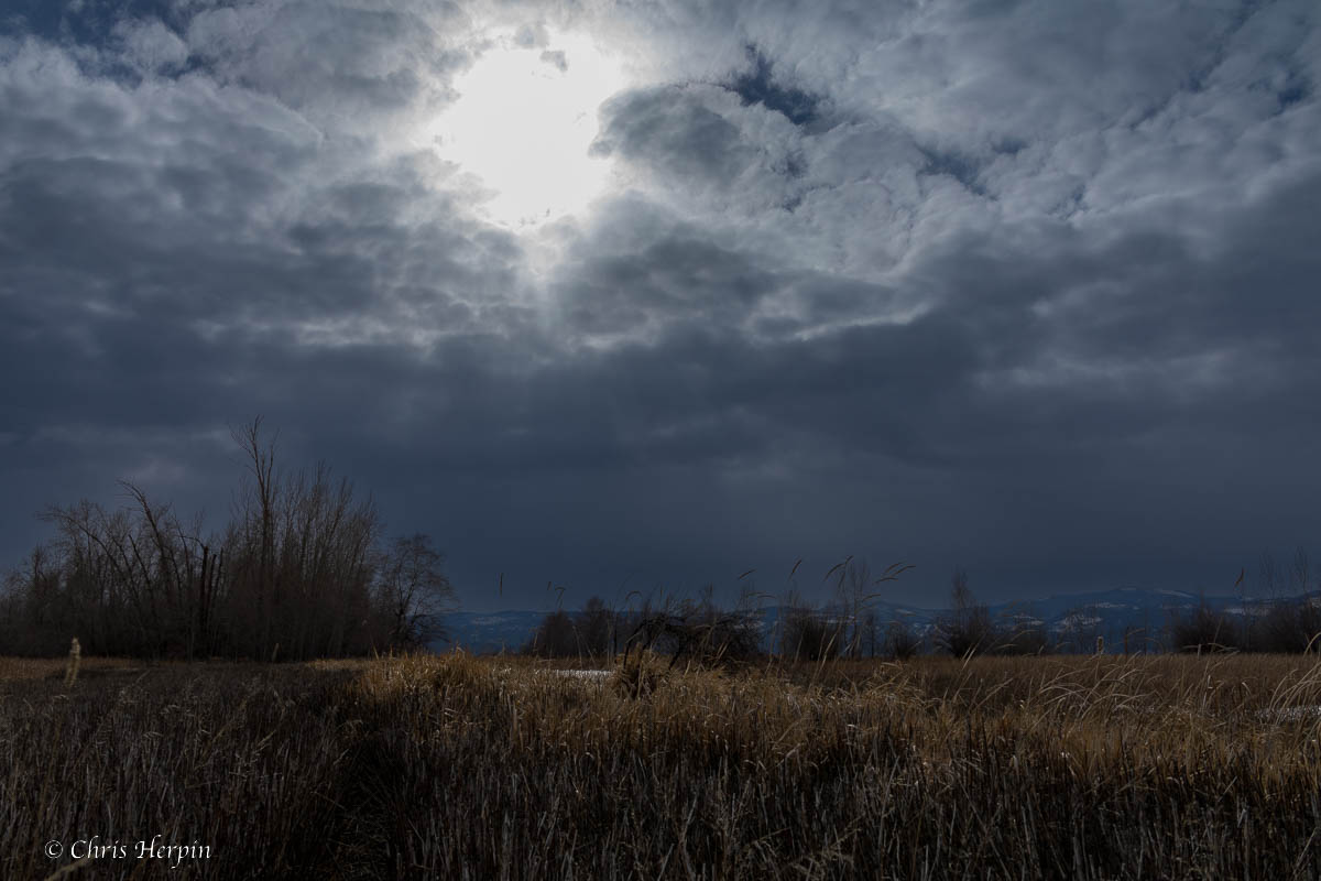 ChrisHerpin's tweet photo. #montanamoment #bigsky #nature #landscape #cloudy #picoftheday #photography #photooftheday https://t.co/xjYRxeC5gb