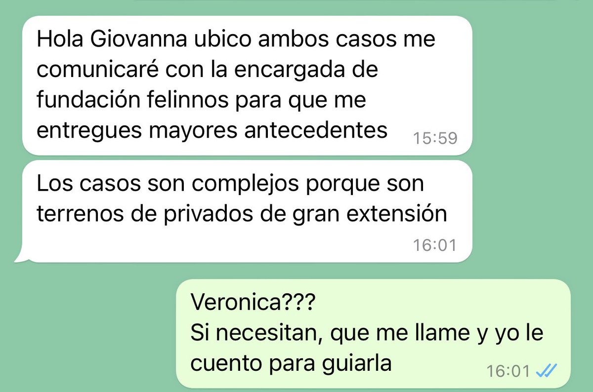 Gio tweet media