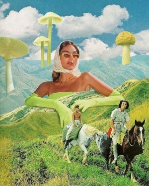 Herbworthy's tweet photo. The 5 best places around the world to take mushrooms. 🍄

Read: https://t.co/OYCnYUpl8l
via uknowthevibess https://t.co/RFgKU59ybj