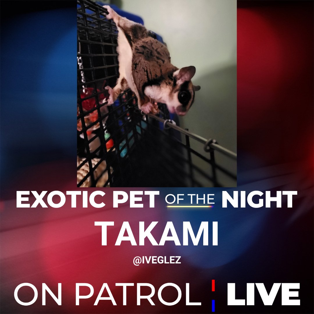 OfficialOPLive's tweet image. Tonight's #OPLive #ExoticPetoftheNight goes to @iveglez and TAKAMI. #OPNation #OnPatrolLive