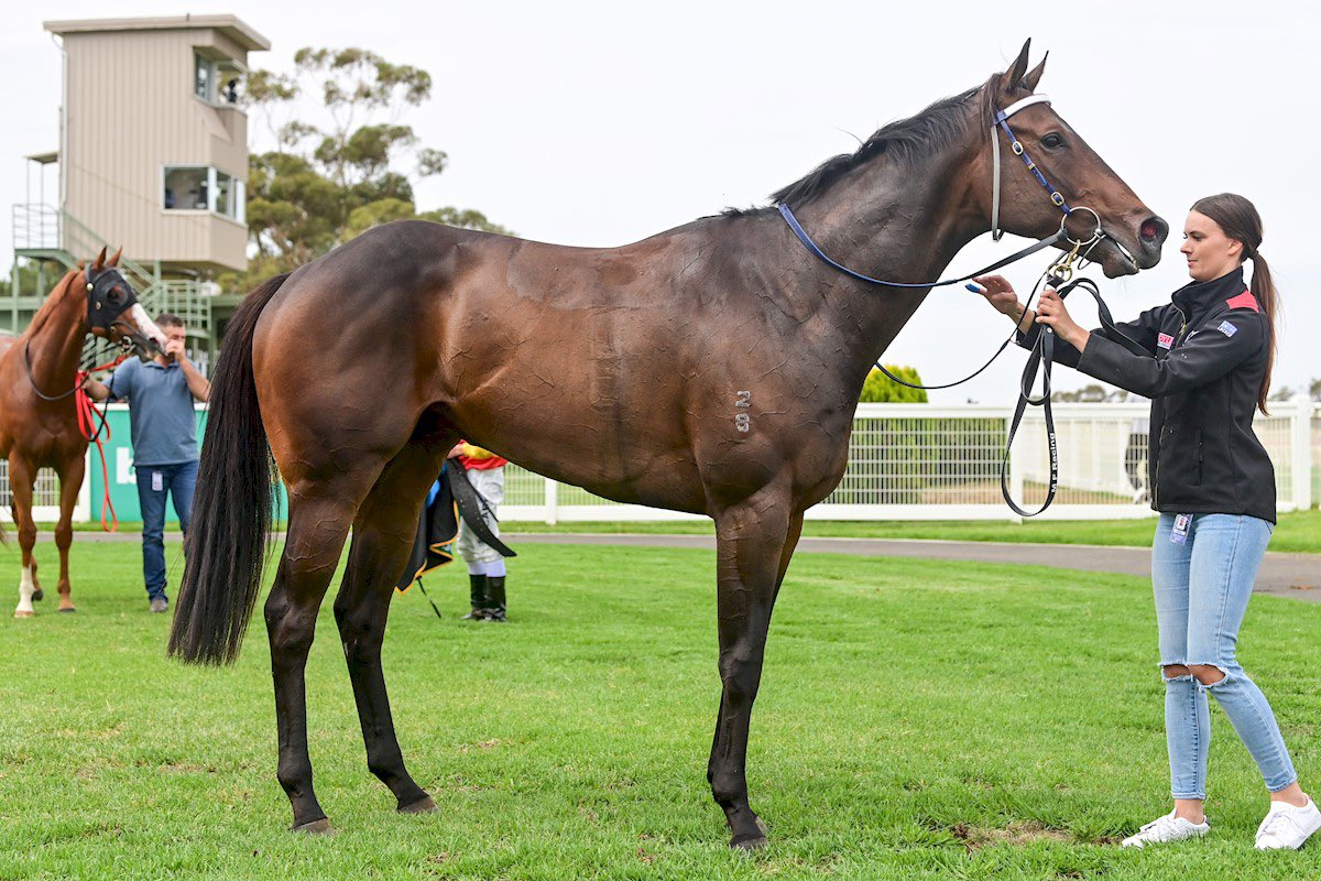 Georgia Kate tweet media