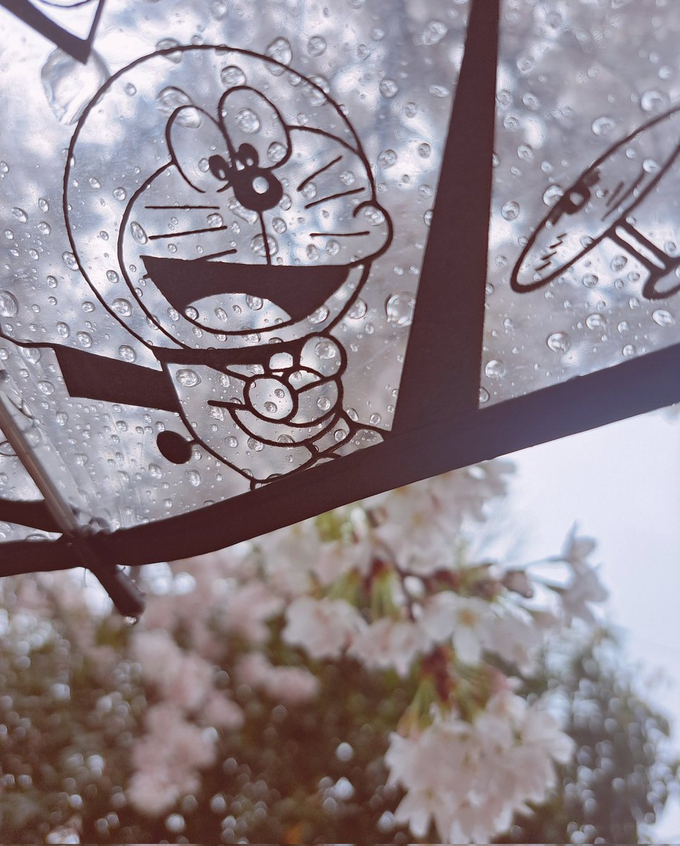 「雨だけど、ドラえもんとお花見に来ました。 」|とりか🌕 4/2スーパーヒロインタイム委託参加のイラスト