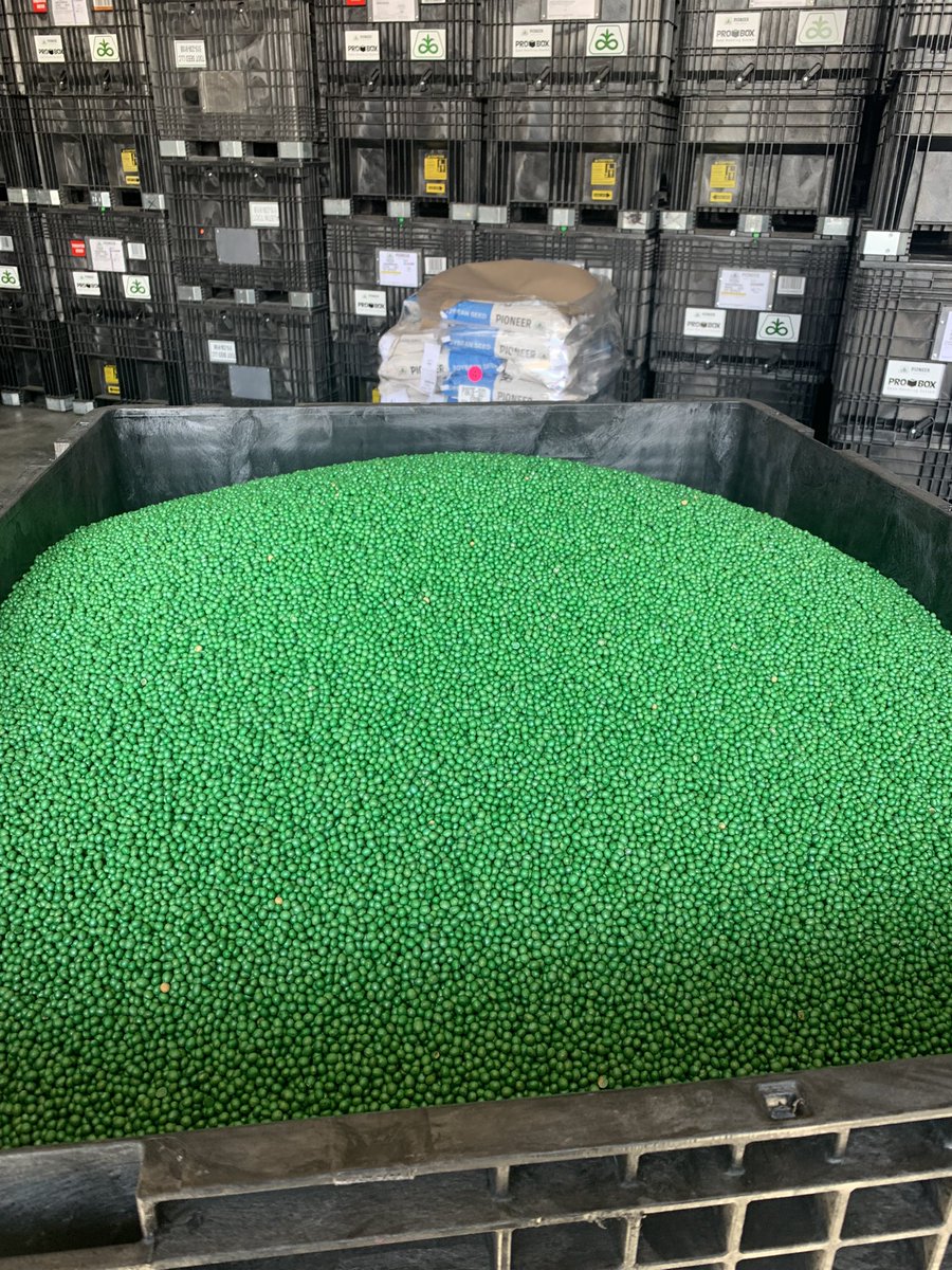 Austin Toot tweet media