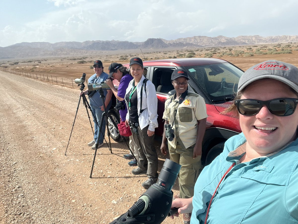 Go Birding Podcasts tweet media