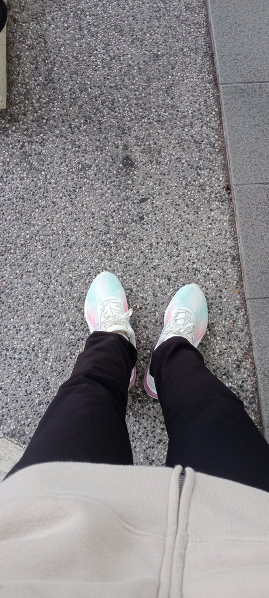 shhhhhhh_04's tweet photo. low-key wanna flex these new babes ㅠㅠ https://t.co/rMYhJ1A8Ec