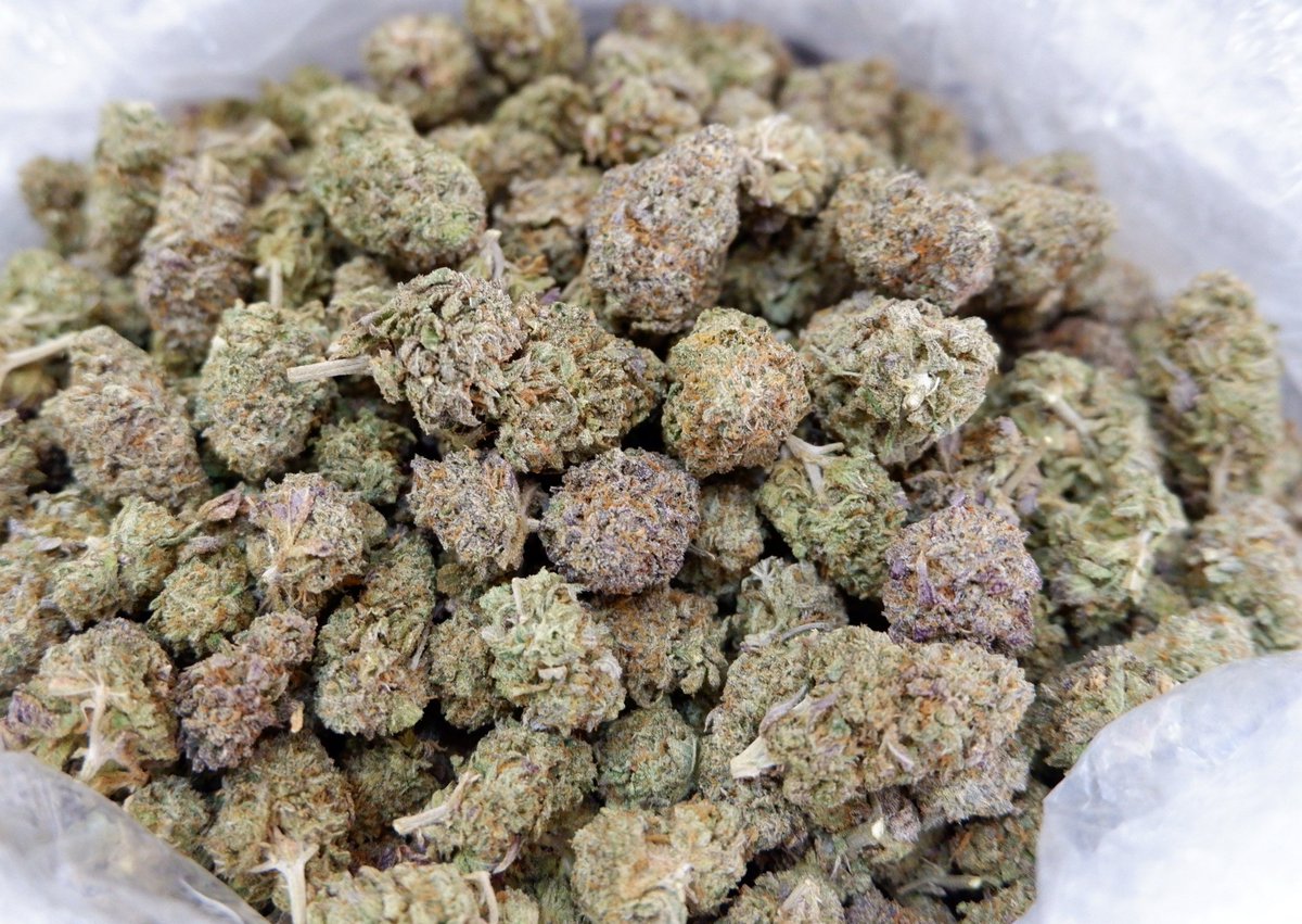 havecannabis's tweet photo. 450/G
HuaiKhwang
https://t.co/EFspunl6gz
DinDaeng
https://t.co/0KMRkpfn0D
#cannabisthailand #dispensarybangkok #dispensary #ห้วยขวาง #ดินแดง #รัชดา #สุทธิสาร #weed #thailand
#cannabis #cannabisbangkok #dispensary #bangkok #ห้วยขวาง #เหม่งจ๋าย #ihavecannabis #ratchada #HuaiKhwang https://t.co/kwJTDjlaO6