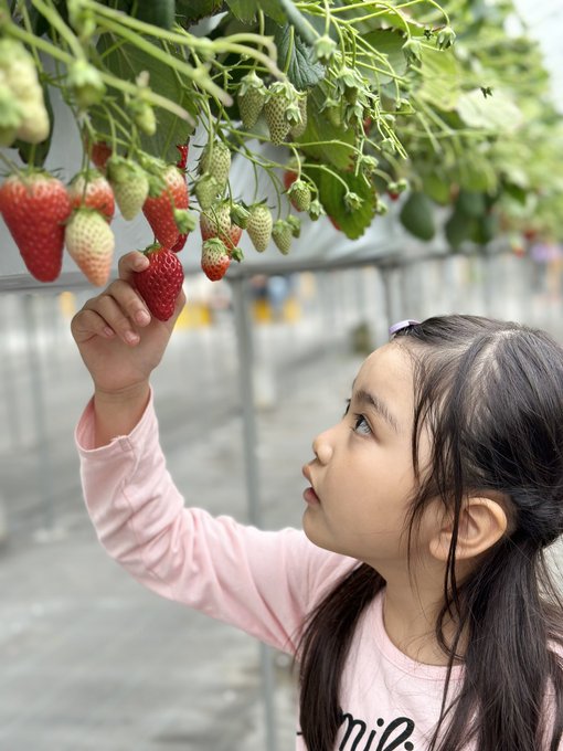 Twitterのコスプレ画像45