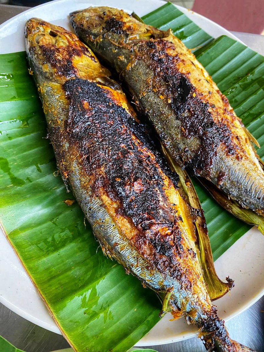 ikan