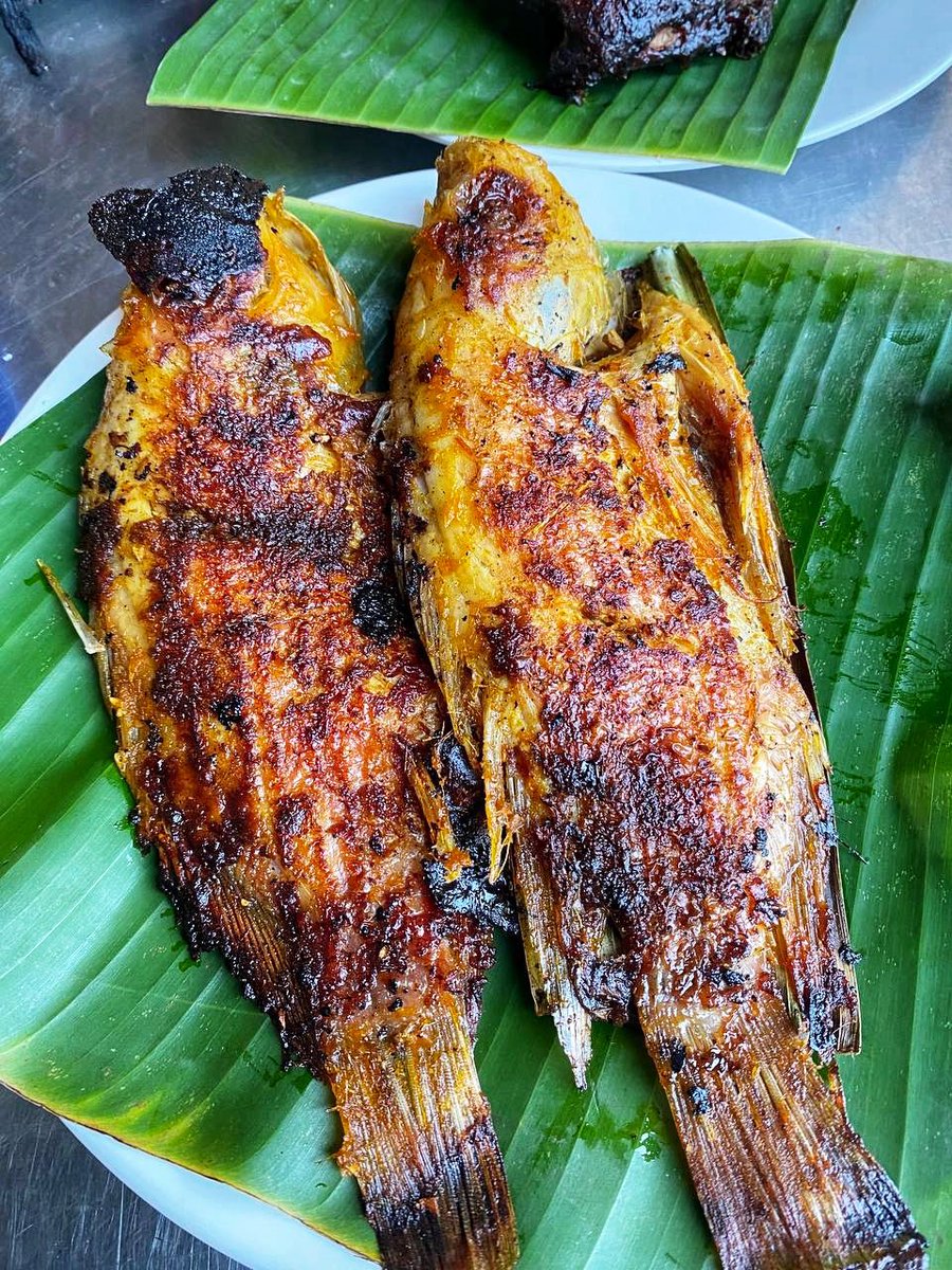 ikan