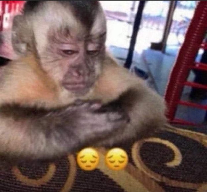 junxi in love with hoba tweet media
