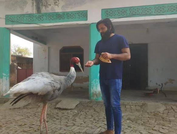 This guy has recently became famous as Akhilesh met &amp; praised him for taking care of Sarus crane, the state bird. 2 weeks after, yogi govt sent a team to snatch the bird which Arif was for last 2 years &amp; now registered a case against him.

What if it was Amit not Arif?