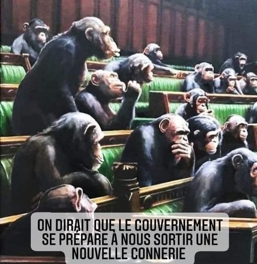PaflaragePaf's tweet photo. ⤵#Macron’s world 🔴#quelleepo
👑#Charleslll  🖤⚜#MacronExplosion🖤
#frenchprotests #parisisburning  #violencepoliciere 
📣🗯📢#DarmaninDemission 
#ViolencesPolicieres  🔴#BravM 🖤🔌🧠 #DISSOLUTIONBRAV #Nunez #ParisRiots
💬⤵#Gouvernementdetromperie https://t.co/tB790ftHAE