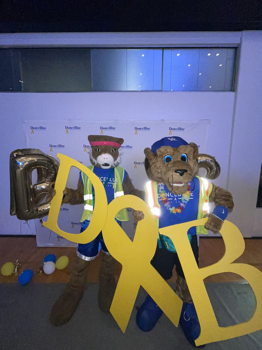 The Kentucky Wildcat tweet media