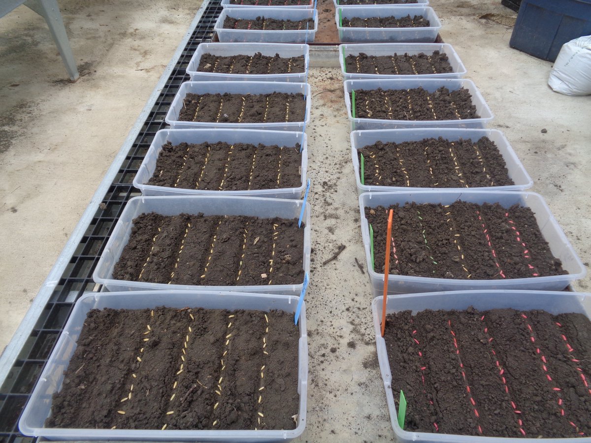 TBararpour's tweet photo. @MSU_AG , @MSUExtService , @MSUExtForestry , @MSU https://t.co/m6SjZ5orAX
