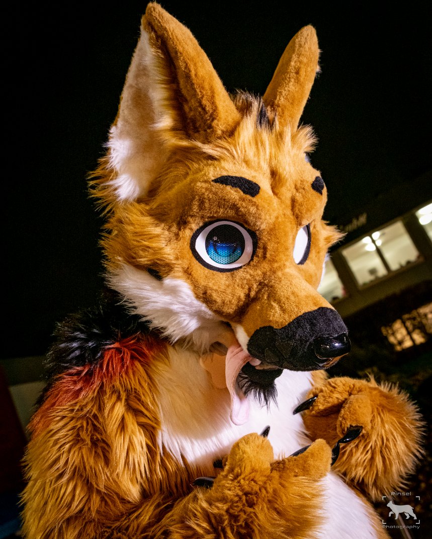 Before the Nordic Fuzz Con, there was a #furmeet in #Herne.

This is considered a M.E.R.V. ... probably.