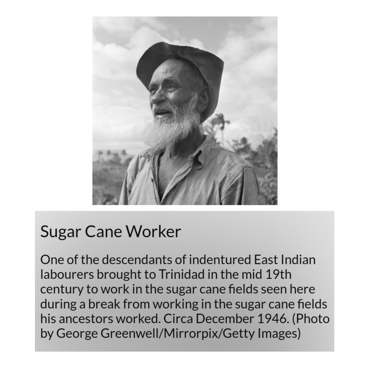 GirmitDiaries's tweet photo. One of the descendants of indentured East Indian labourers brought to Trinidad in the mid 19th century seen here during a break from working in the sugar cane fields his ancestors worked.
Circa December 1946. (Photo by George Greenwell/Mirrorpix/Getty Images)
#indenturesystem https://t.co/wnHfu2hkba