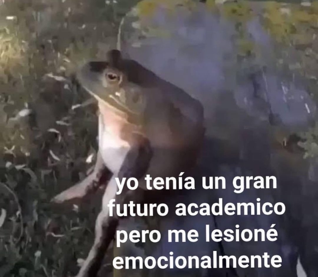 Memes Universidad Nacional (@nacional_memes) on Twitter photo 