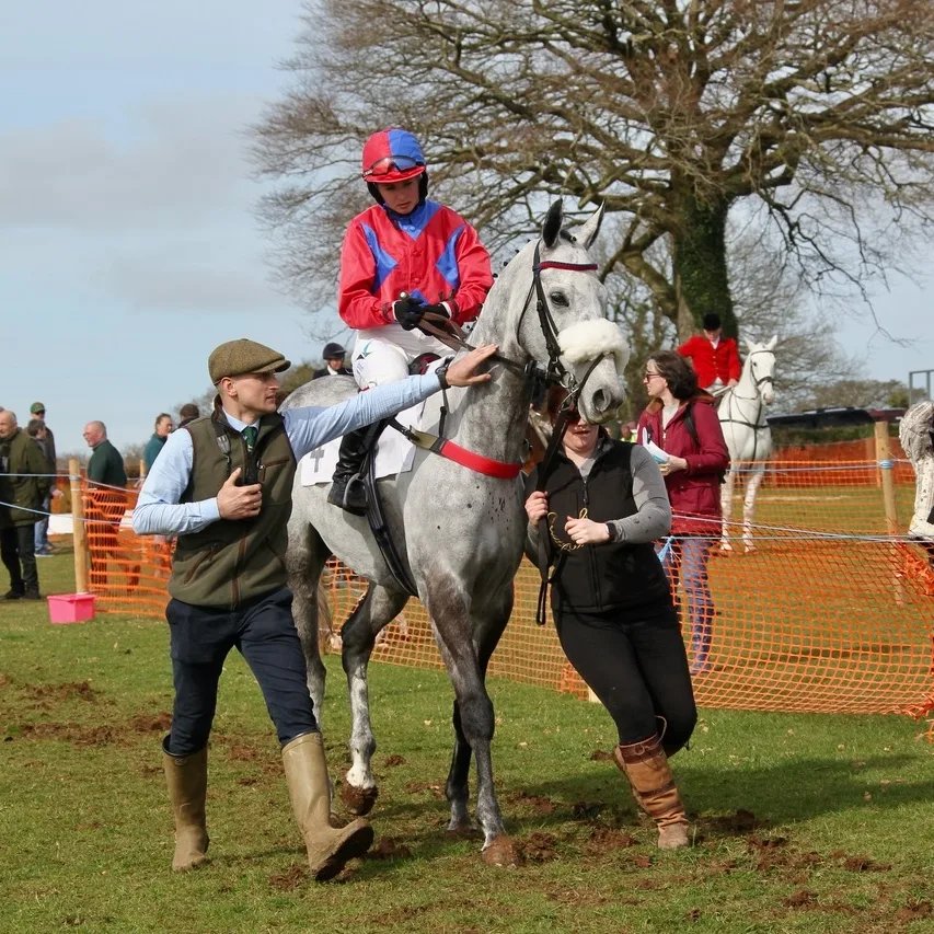 maria lewis tweet media