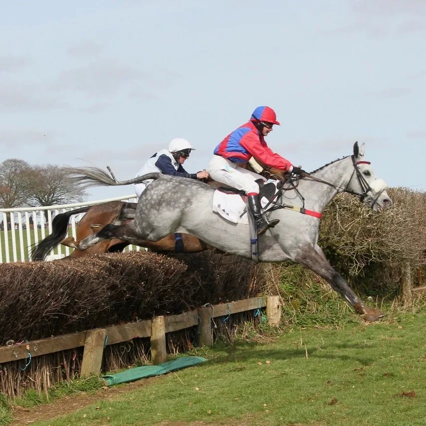 maria lewis tweet media