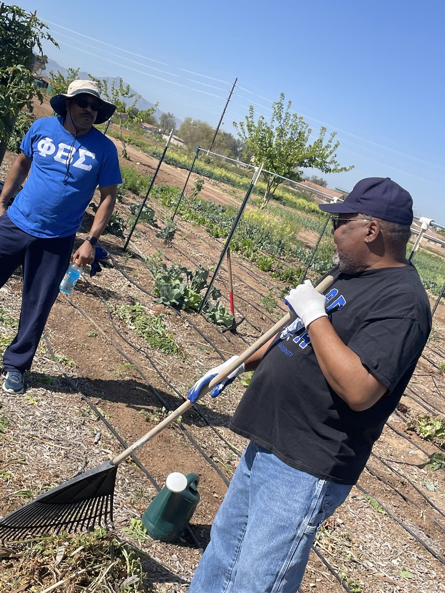 PhoenixSigmas's tweet photo. Thanks to all of the Brothers that came out to the Project Roots Garden Community Service event to do the work of  Sigma. Today we were able to support a Black owned business and pour back to into our community. 🤘🏾 

#pbs109 #sigma1914 #pbs1914 #phoenixsigmas https://t.co/MW28sBEPg4