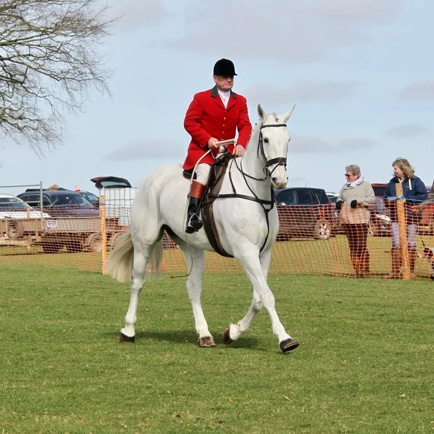 maria lewis tweet media